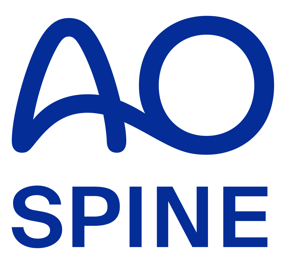 Miembro AO Spine